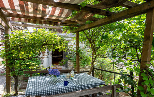 Il Gianlupo - Photo 3