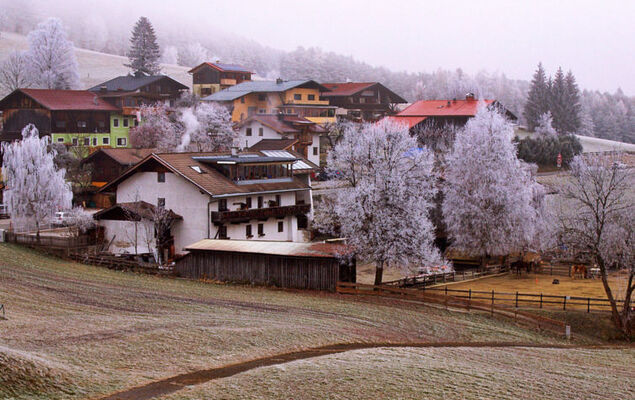 Wiesenhof - Photo 19