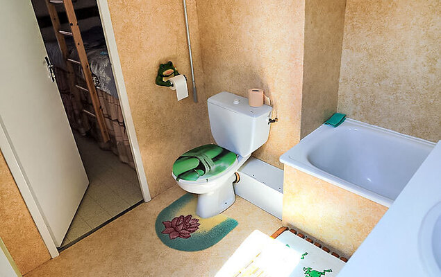 Les Marmottes - Photo 11