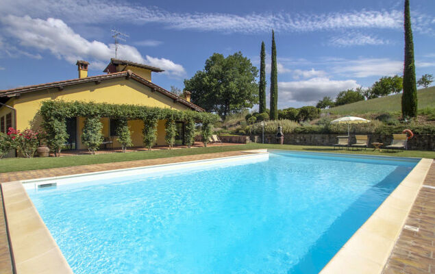 Corbezzolo - Photo 33