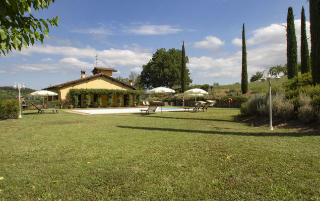 Corbezzolo - Photo 37