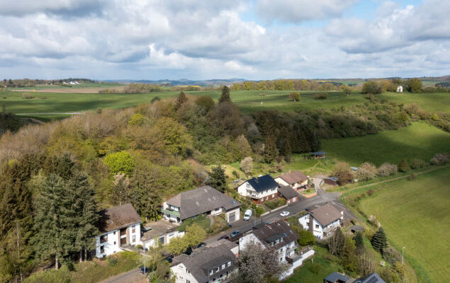 Eifelnatur (Haus 2) - Photo 44