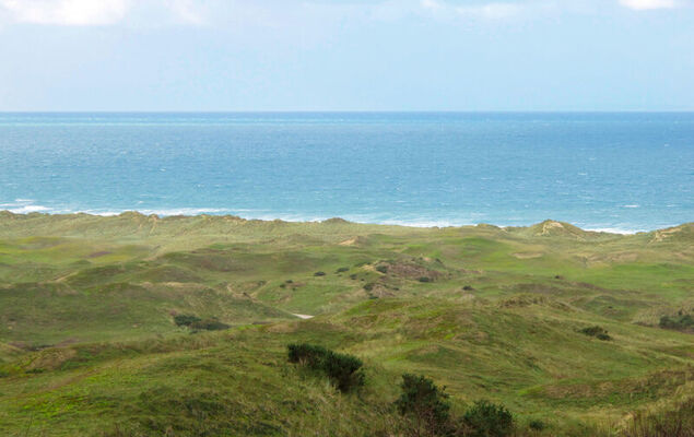 Les Oiseaux - Photo 18